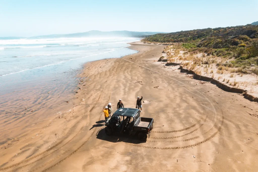 Explore the natural beauty of The Catlins, New Zealand's hidden gem, featuring waterfalls, wildlife, and rugged coastlines.