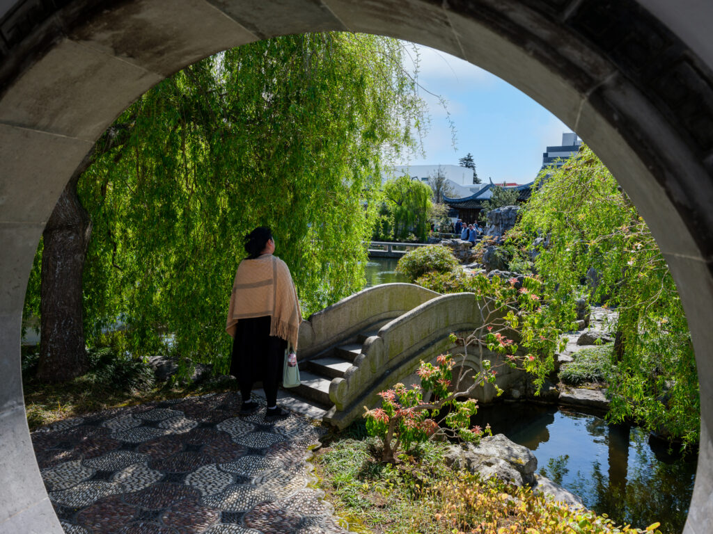 Dunedin Chinese Garden Tours