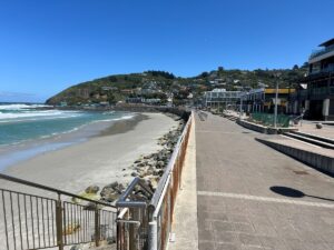 Best of Dunedin City Sights