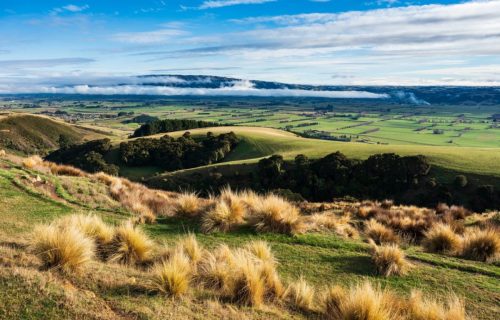 Taieri Plans, Mosgiel, Dunedin, New Zealand