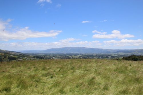 Taieri, Mosgiel, Dunedin, New Zealand