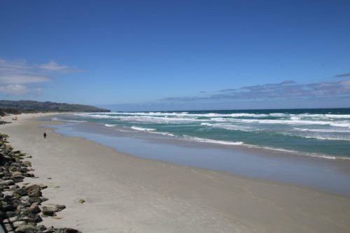 St Clair Beach, Dunedin, New Zealand