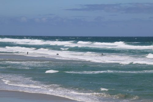 St Clair Beach & Esplanade, Dunedin, New Zealand