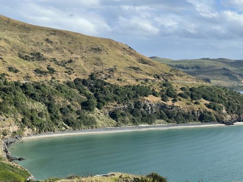 Royal Albatross Centre, Otago Peninsula, New Zealand