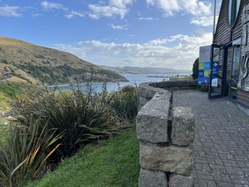 Royal Albatross Centre, Otago Peninsula, New Zealand