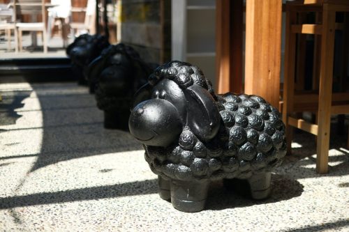 The Black Sheep Restaurant & Bar, Mosgiel, New Zealand