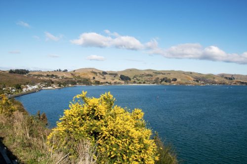Tairoa Head, Otago Peninsula, Dunedin, New Zealand